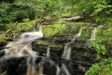 waterfall in the forest reeth north yorkshire
