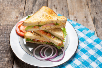 Grilled cheese sandwich with tomato and whole grain bread on wooden background
