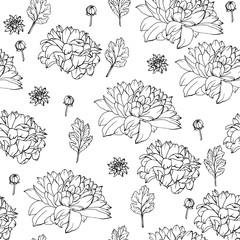 Floral seamless pattern with chrysanthemums. Black and white. Monochrome. Pattern for wedding stationary, fashion, wallpapers, greetings, background for web pages. Flower vector background.