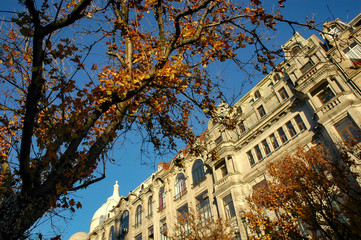 Obraz premium Aliados avenue in Oporto