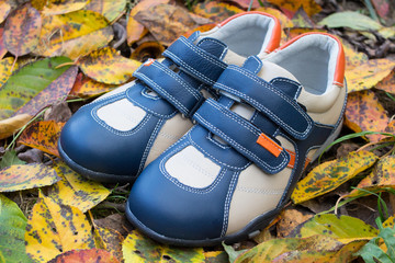 sneakers on autumn leaves,baby leather sneakers new on autumn yellow leaves