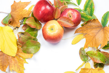 Naklejka na ściany i meble apples and autumn leaves on white background