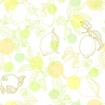 Vector seamless pattern illustration with lemons and circles