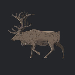 Illustration of beautiful deer.