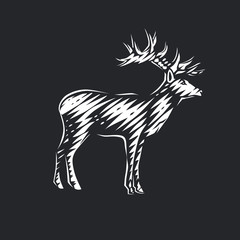 Illustration of beautiful deer.