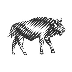 Illustration of beautiful bison.