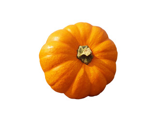 Round orange pumpkin isolated in sunlight.