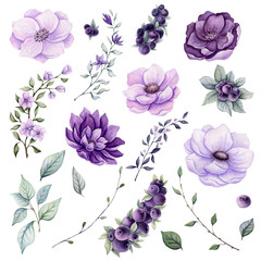Set of Watercolor Flowers and Berries
