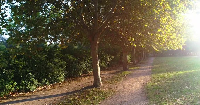 sendero con &aacute;rboles para paseo oto&ntilde;al