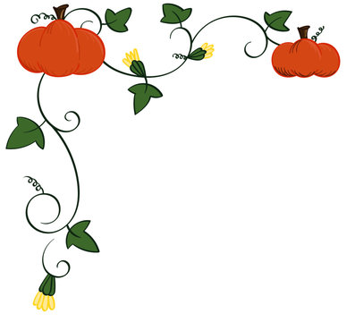 Pumpkin and vines top right border frame
