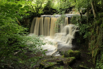 waterfall in deep forest reeth yorkshire dales