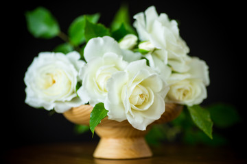 bouquet of beautiful white roses in a vase