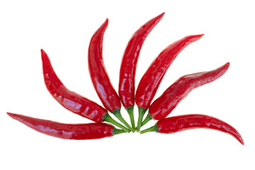 Close up red hot chili spur pepper