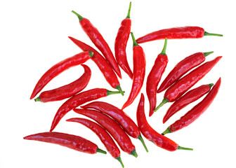 Close up red hot chili spur pepper