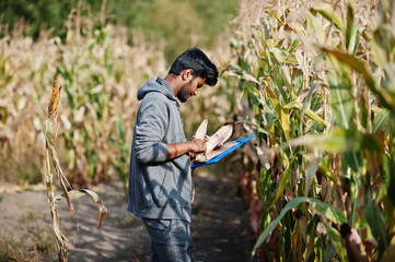 South asian agronomist farmer inspecting corn field farm. Agriculture production concept.