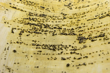 This is a photograph of a Black and Gold sequins background