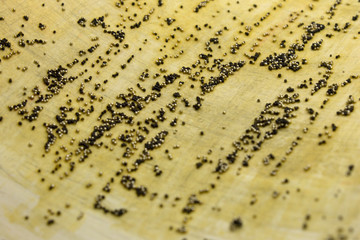 This is a photograph of a Black and Gold sequins background