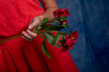 Fototapeta na wymiar Red flowers in beautiful female hands