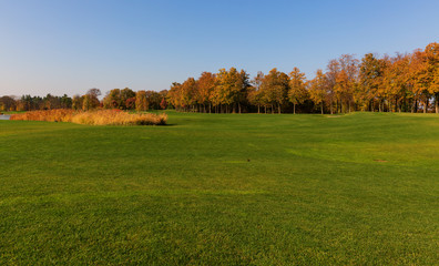 Fototapeta na wymiar Autumn in the park and breathtaking view on the golf course.