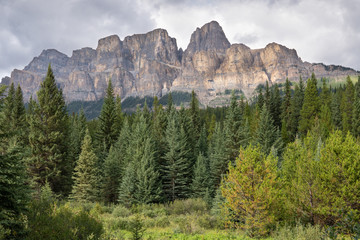 Bow Valley Parkway, Banff National Park, Alberta, Canada