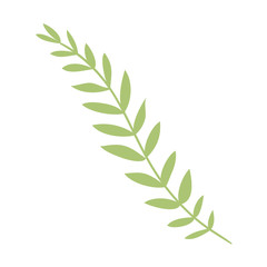 branch with leafs decorative icon