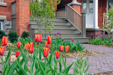 Fototapeta na wymiar This beautiful urban front yard garden features a large veranda, brick paver walkway, retaining wall with plantings of bulbs, shrubs and perennials for colour, texture and winter interest.