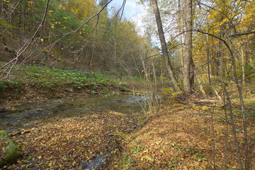 jesień jura dolina Racławki