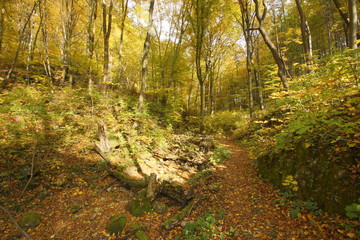 jesień jura dolina Racławki babie lato