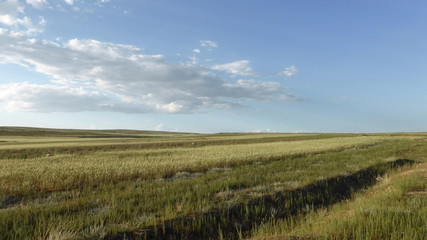 Fototapeta premium Inner Mongolia