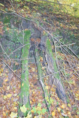 Rezerwat Dolina Racławki