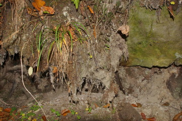 Rezerwat Dolina Racławki