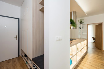 Fototapeta na wymiar Entrance hall into contemporary apartment with furniture