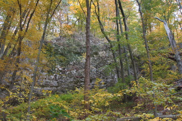 Rezerwat Dolina Racławki