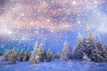 Majestic winter landscape with snowy fir trees.  Winter postcard.