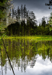 Pyhätunturi Park Lapland (2)