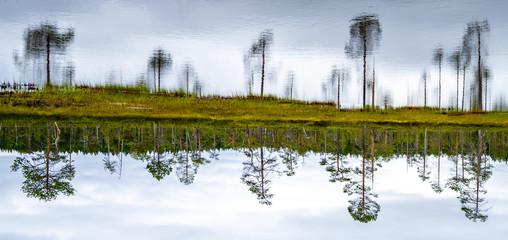 Pyhätunturi Park Lapland