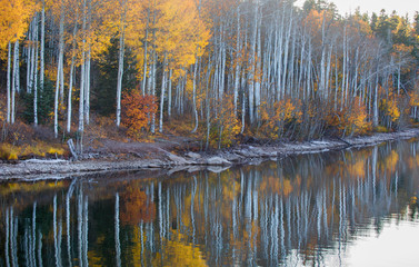 Southern Utah Autumn
