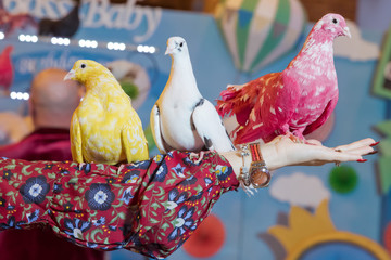 a dove on his hand . holding a red , white, yellow dove in his hand.
