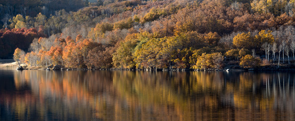 Southern Utah Autumn
