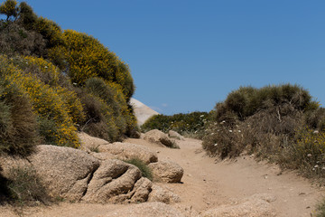 Fototapeta na wymiar Sardinien Landschaft