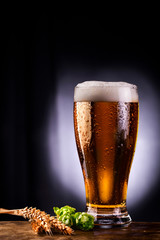 Beer glass, Hop Cones and Wheat on dark background