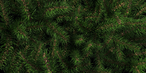 Background of Christmas tree branches. Happy New Year green theme background. 3d rendering.