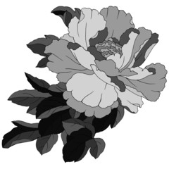 drawing of a pion in monochrome colors