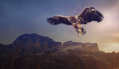 Deurstickers eagle flying over the dark mountains © Yuriy Kobets