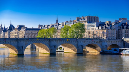 Fototapeta na wymiar Paris, view of the Pont-Neuf and the ile de la Cité, with beautiful buildings 