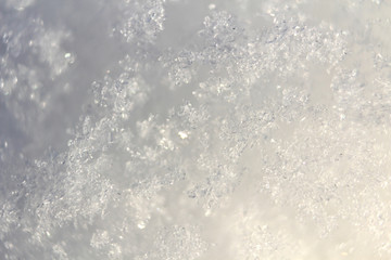 Macro of real snow flakes. Winter background.