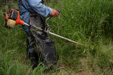 gardener mowing grass cutting herb in the forest gardening maintenance