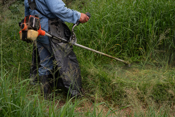 gardener mowing grass cutting herb in the forest gardening maintenance