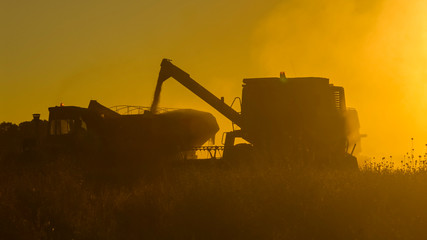 Soybean harvest in Argentine countryside,La Pampa, Argentina