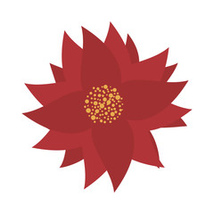 beauty christmas flower decorative icon